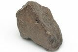 Chondrite Meteorite ( grams) - Western Sahara Desert #223100-1